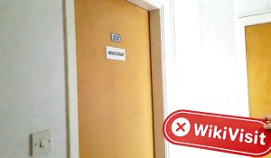 A Visit to FLEXINVEST in Cyprus – No Office Found