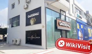 A Visit to APME FX in Cyprus – No Office Found