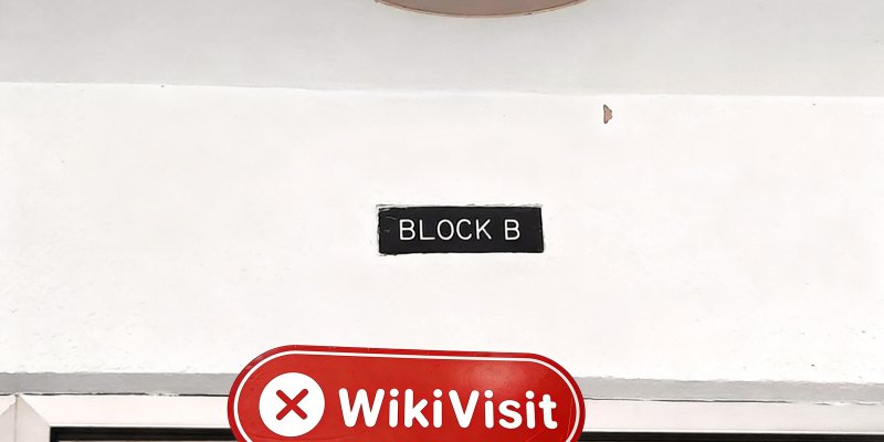 A Visit to EFINNO in Cyprus – No Office Found