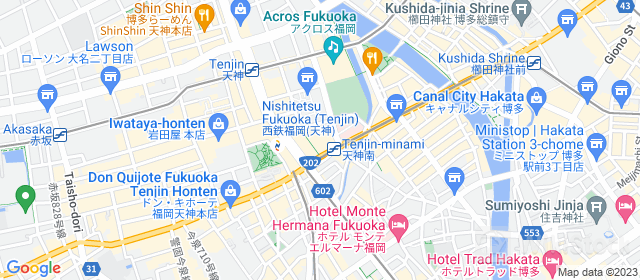 googleMap