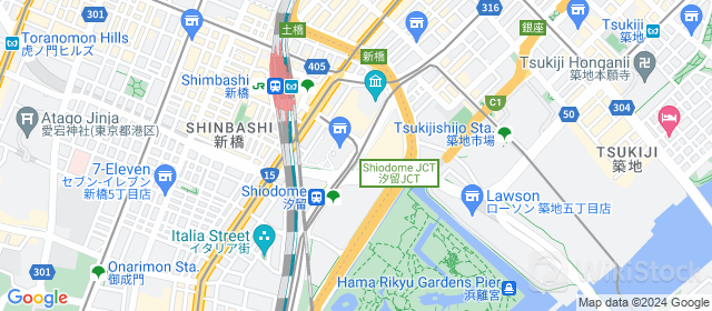 googleMap