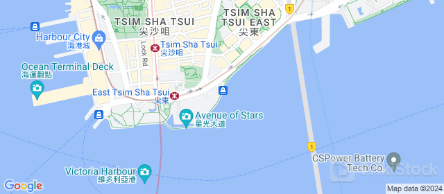 googleMap